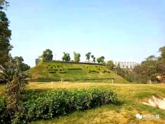 “松山儀器”DHF86硅酸鹽化學成分分析儀應用----廣東純一陶瓷有限公司